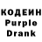 Codein Purple Drank Luiza Sadikova