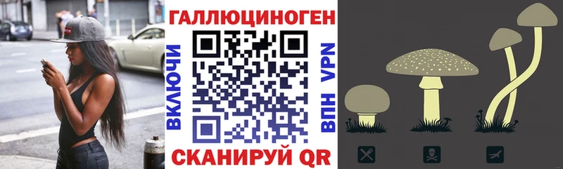 как найти   Новая Усмань  Псилоцибиновые грибы мицелий 